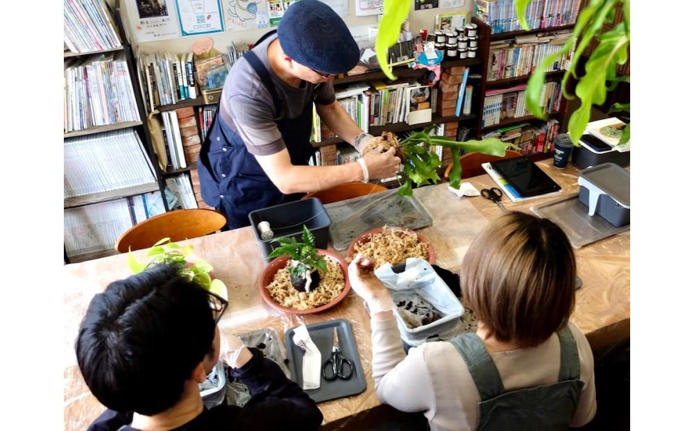 360度楽しめる！吊るせる観葉植物「ハングボール」作りワークショップ【ポイント交換専用】