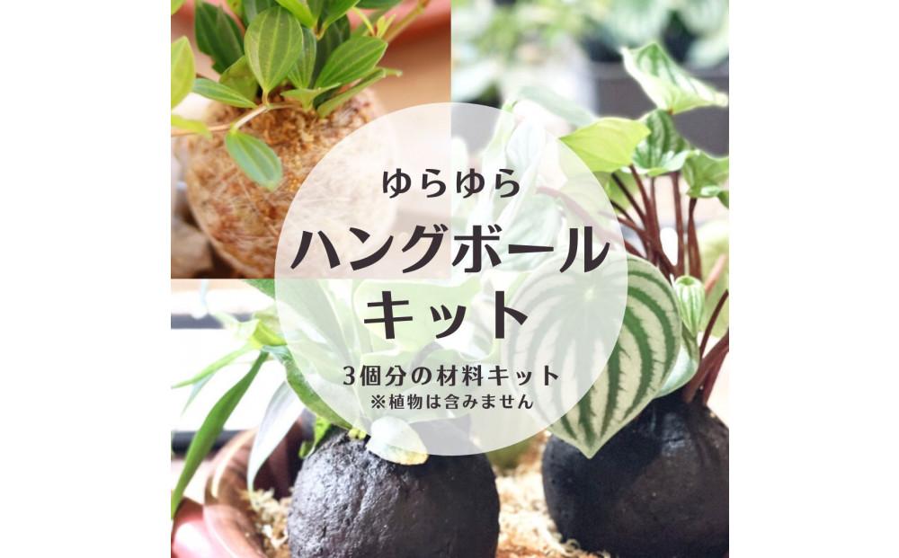 360度楽しめる！吊るせる観葉植物「ゆらゆらハングボールキット」【ポイント交換専用】