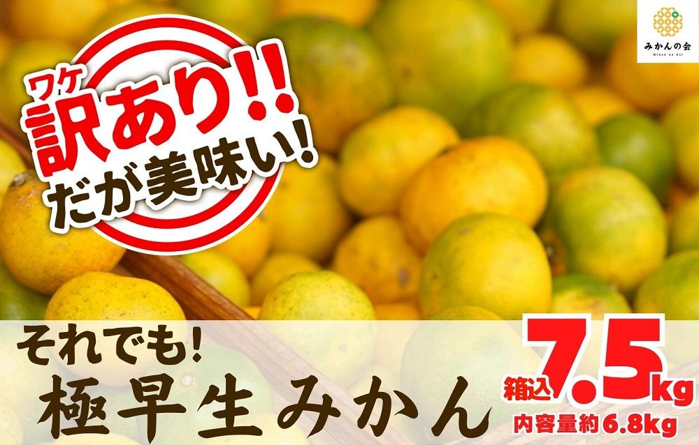 訳あり 極早生 箱込 7.5kg (内容量約 6.8kg) サイズミックス 有田みかん 和歌山県産 【みかんの会】