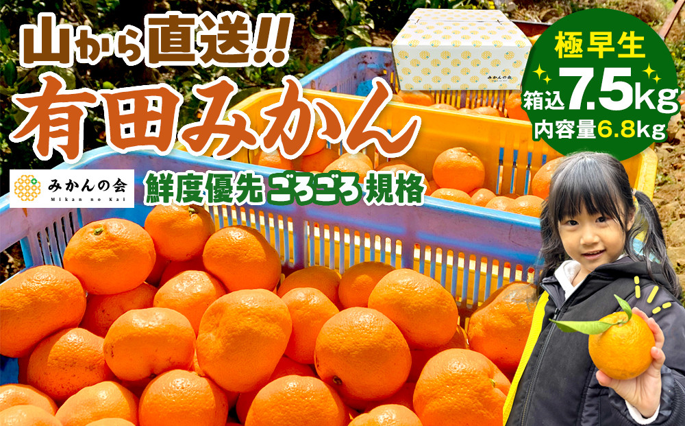 みかん&nbsp;極早生&nbsp;山から直送&nbsp;箱込&nbsp;7.5kg&nbsp;(内容量約&nbsp;6.8kg)&nbsp;採れたてそのままごろごろ規格&nbsp;有田みかん&nbsp;和歌山県産&nbsp;【みかんの会】みかん&nbsp;果物&nbsp;みかん&nbsp;フルーツ&nbsp;みかん&nbsp;和歌山&nbsp;みかん&nbsp;柑橘類&nbsp;みかん&nbsp;和歌山県産&nbsp;みかん&nbsp;有田&nbsp;みかん