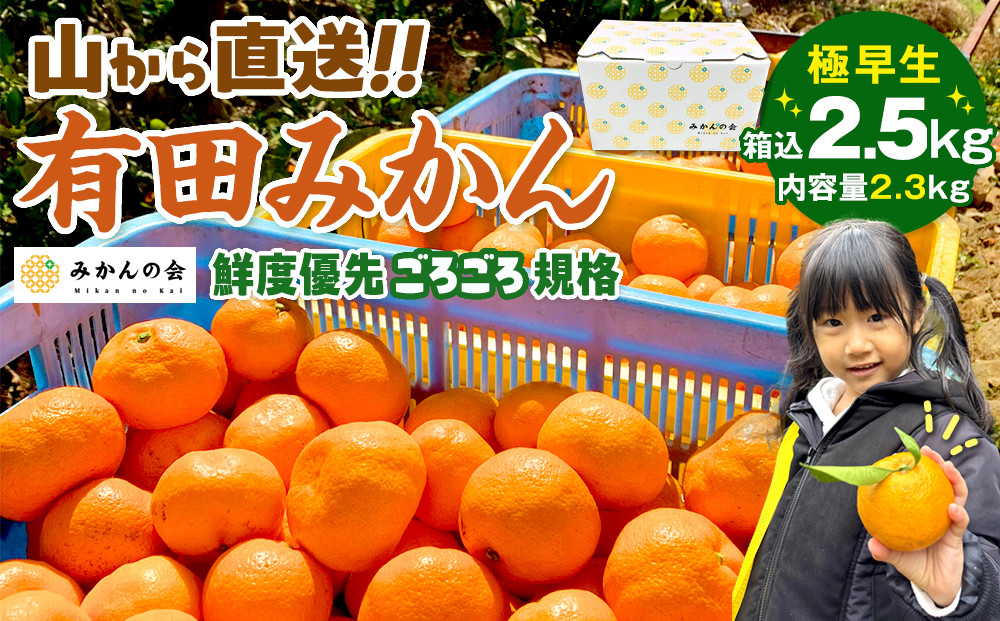 みかん&nbsp;極早生&nbsp;山から直送&nbsp;箱込&nbsp;2.5kg&nbsp;(内容量約&nbsp;2.3kg)&nbsp;採れたてそのままごろごろ規格&nbsp;有田みかん&nbsp;和歌山県産&nbsp;【みかんの会】みかん&nbsp;果物&nbsp;みかん&nbsp;フルーツ&nbsp;みかん&nbsp;和歌山&nbsp;みかん&nbsp;柑橘類&nbsp;みかん&nbsp;和歌山県産&nbsp;みかん&nbsp;有田&nbsp;みかん