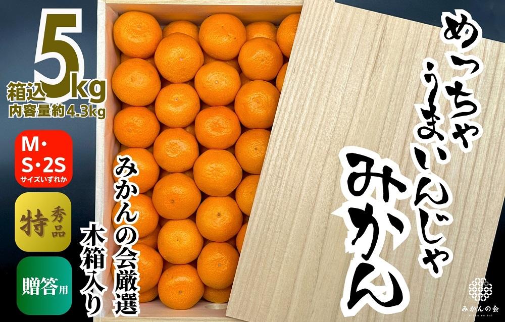 みかん めっちゃうまいんじゃ 木箱入 約5kg（内容量4.3kg） みかんの会厳選 特選品 M S 2S サイズのいずれか 和歌山県産 産地直送 S品 贈答用 【みかんの会】