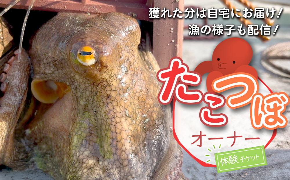 【獲れた分は自宅にお届け！】たこつぼオーナー体験チケット【ポイント交換専用】