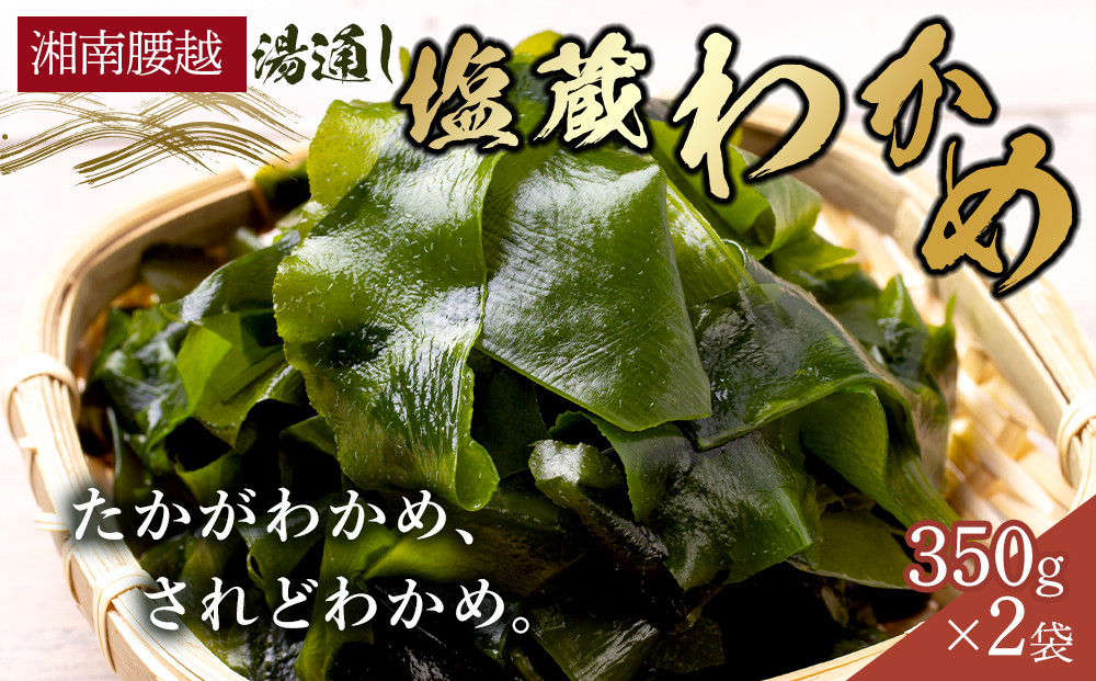 【湘南腰越名産！】湯通し「塩蔵わかめ」350g×2袋【ポイント交換専用】
