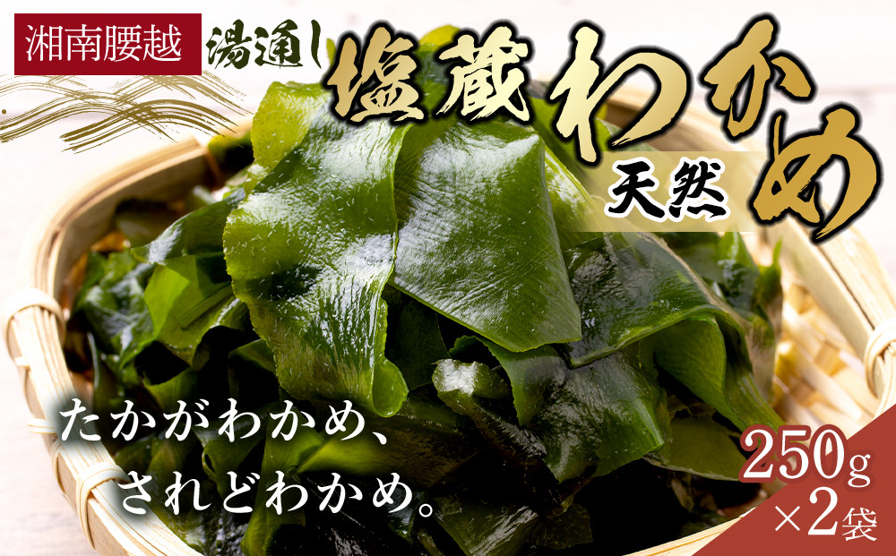 【湘南腰越名産！】湯通し「天然塩蔵わかめ」250g×2袋【ポイント交換専用】