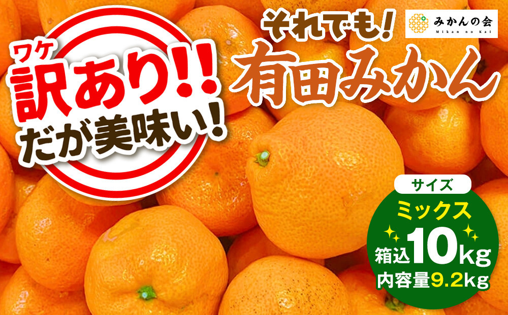 訳あり&nbsp;それでも&nbsp;有田みかん&nbsp;箱込&nbsp;10kg&nbsp;(内容量約&nbsp;9.2kg)&nbsp;&nbsp;サイズミックス&nbsp;B品&nbsp;有田みかん&nbsp;和歌山県産&nbsp;産地直送&nbsp;家庭用［2025年11月中旬より順次出荷予定］［みかんの会］