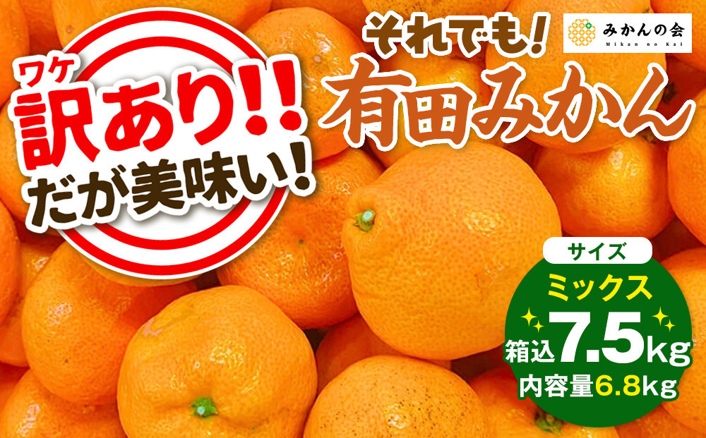 訳あり&nbsp;それでも&nbsp;有田みかん&nbsp;箱込&nbsp;7.5kg&nbsp;(内容量約&nbsp;6.8kg)&nbsp;&nbsp;サイズミックス&nbsp;B品&nbsp;有田みかん&nbsp;和歌山県産&nbsp;産地直送&nbsp;家庭用［2025年11月中旬より順次出荷予定］［みかんの会］