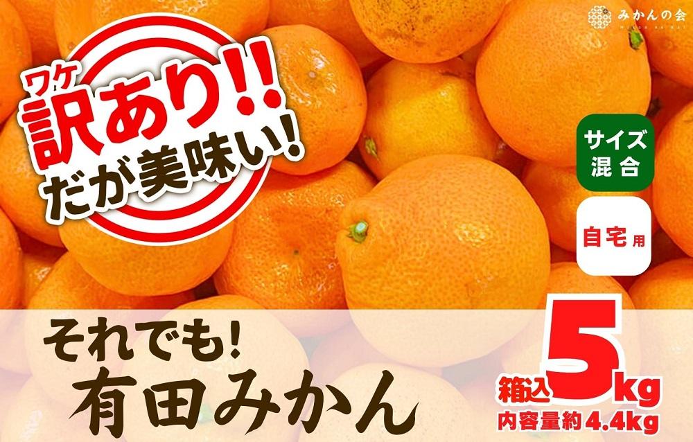 訳あり それでも 有田みかん 箱込 5kg (内容量約 4.4kg)  サイズミックス B品 有田みかん 和歌山県産 産地直送 家庭用【みかんの会】