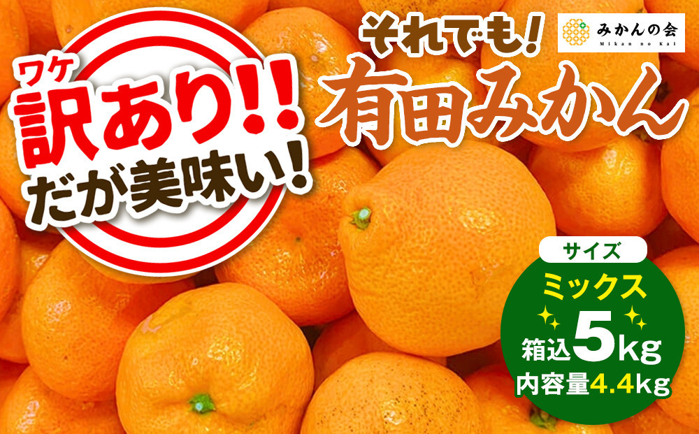 訳あり&nbsp;それでも&nbsp;有田みかん&nbsp;箱込&nbsp;5kg&nbsp;(内容量約&nbsp;4.4kg)&nbsp;&nbsp;サイズミックス&nbsp;B品&nbsp;有田みかん&nbsp;和歌山県産&nbsp;産地直送&nbsp;家庭用［2025年11月中旬より順次出荷予定］［みかんの会］