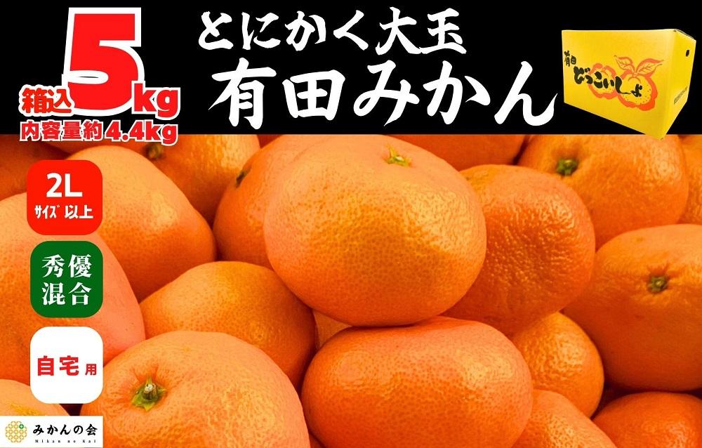 みかん 大玉 どっこいしょ 箱込 5kg ( 内容量約 4.4kg ) 2Lサイズ以上 秀品 優品 混合 有田みかん 和歌山県産 産地直送 家庭用【みかんの会】