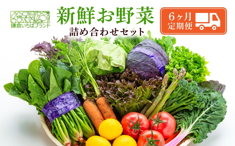 【６ヶ月連続毎月届く定期便】「鎌倉いちばブランド」新鮮お野菜詰め合わせセット&nbsp;|&nbsp;人気&nbsp;野菜&nbsp;詰合せ&nbsp;詰め合わせ&nbsp;セット&nbsp;新鮮野菜&nbsp;詰め合わせセット&nbsp;野菜セット&nbsp;季節の野菜&nbsp;鎌倉野菜&nbsp;地元産&nbsp;お取り寄せ&nbsp;おすすめ&nbsp;送料無料&nbsp;神奈川&nbsp;鎌倉【ポイント交換専用】