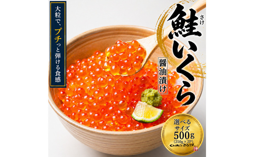 いくら&nbsp;醤油漬け&nbsp;500g(250g×2P)&nbsp;アメリカ&nbsp;鮭の卵&nbsp;化粧箱入&nbsp;尾張まるはち&nbsp;|&nbsp;いくら&nbsp;イクラ&nbsp;いくら醤油漬け&nbsp;鮭卵&nbsp;醤油漬け&nbsp;化粧箱入り&nbsp;贈答用&nbsp;高級&nbsp;グルメ&nbsp;人気&nbsp;おすすめ&nbsp;海鮮&nbsp;魚卵&nbsp;送料無料