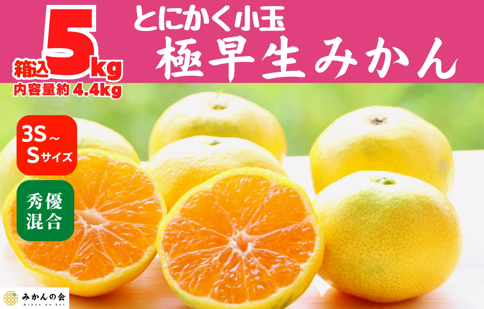 小玉みかん&nbsp;極早生&nbsp;箱込&nbsp;5kg&nbsp;(内容量約&nbsp;4.4kg)&nbsp;3S～Sサイズ混合&nbsp;秀品&nbsp;優品&nbsp;混合&nbsp;有田みかん&nbsp;和歌山県産&nbsp;【みかんの会】［2026年10月上旬頃より順次発送予定］