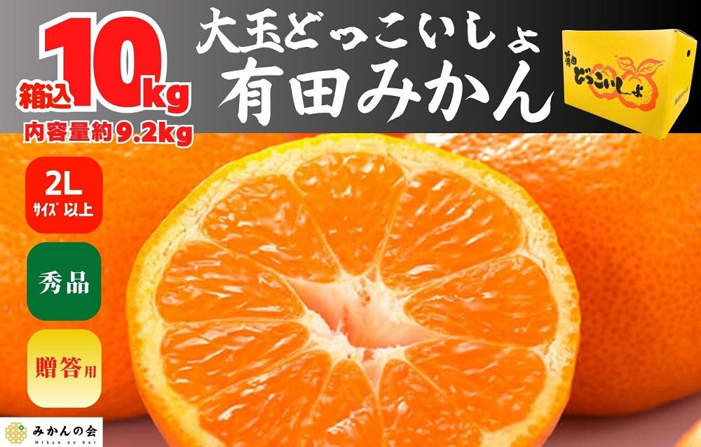 2 和歌山県 有田産 せとか みかん 10~12個 1kg以上 - 果物