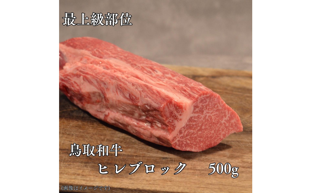 鳥取和牛　ヒレブロック500g
