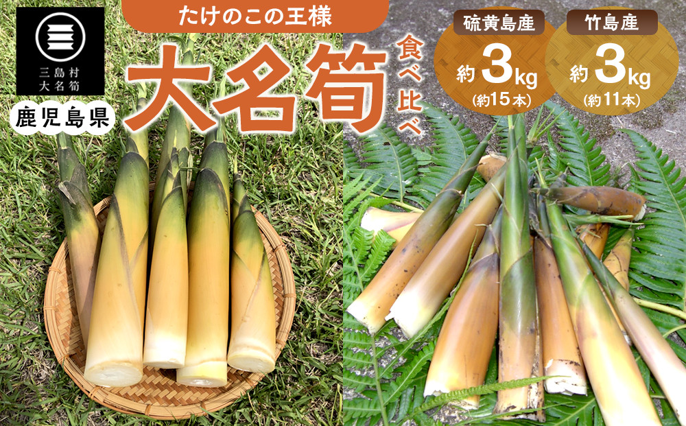 【2027年お届け】大名筍3kg（硫黄島産）＆大名筍3kg（竹島産）の食べ比べセット【ポイント交換専用】