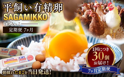 【7ヶ月定期便】定期便&nbsp;お楽しみ&nbsp;毎月届く《かながわブランド認定》平飼い有精卵さがみっこ&nbsp;30個（10個×3パック）×7ヶ月｜神奈川県相模原市産&nbsp;たまご&nbsp;卵&nbsp;鶏卵&nbsp;玉子&nbsp;たまご&nbsp;生卵&nbsp;平飼い&nbsp;ケージフリー&nbsp;有精卵&nbsp;国産&nbsp;濃厚&nbsp;旨味&nbsp;卵焼き&nbsp;たまごかけご飯&nbsp;朝食&nbsp;&nbsp;※離島への配送不可&nbsp;[11042-30067061]