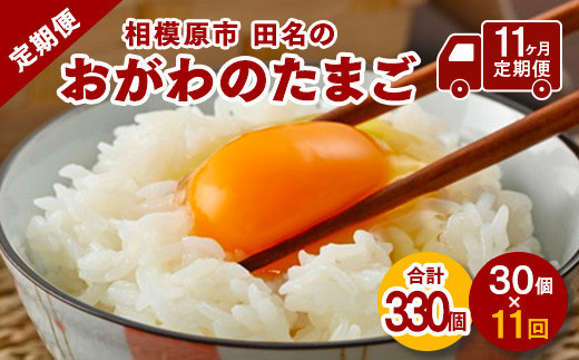 【11ヶ月定期便】【毎月前半発送】相模原市田名のおがわのたまご　ピンク卵&nbsp;Mサイズ&nbsp;30個(27個＋割れ補償3個)×11か月|&nbsp;卵&nbsp;鶏卵&nbsp;玉子&nbsp;たまご&nbsp;生卵&nbsp;国産&nbsp;濃厚&nbsp;コク&nbsp;旨味&nbsp;旨み