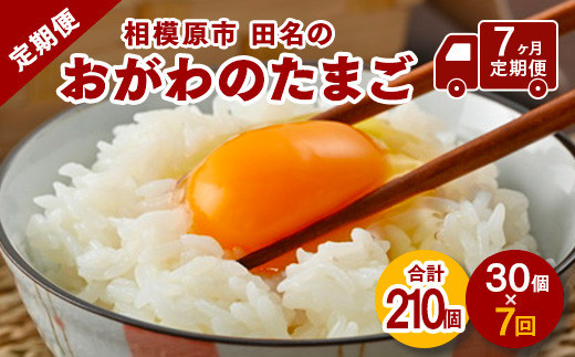 【7ヶ月定期便】【毎月前半発送】相模原市田名のおがわのたまご　ピンク卵&nbsp;Mサイズ&nbsp;30個(27個＋割れ補償3個)×7か月&nbsp;|&nbsp;卵&nbsp;鶏卵&nbsp;玉子&nbsp;たまご&nbsp;生卵&nbsp;国産&nbsp;濃厚&nbsp;コク&nbsp;旨味&nbsp;旨み