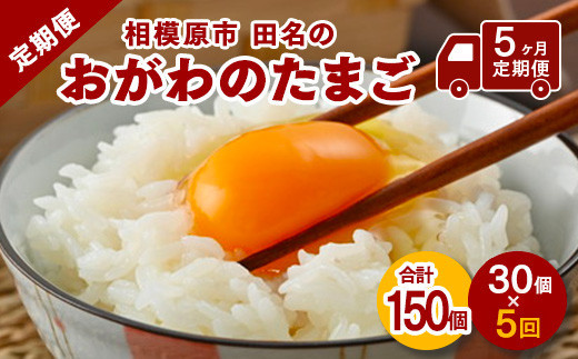【5ヶ月定期便】【毎月前半発送】相模原市田名のおがわのたまご　ピンク卵&nbsp;Mサイズ&nbsp;30個(27個＋割れ補償3個)×5か月|&nbsp;卵&nbsp;鶏卵&nbsp;玉子&nbsp;たまご&nbsp;生卵&nbsp;国産&nbsp;濃厚&nbsp;コク&nbsp;旨味&nbsp;旨み