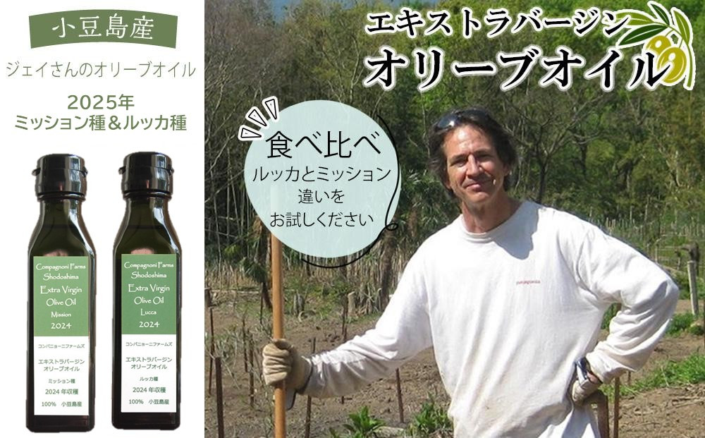 ジェイさんのオリーブオイル《ミッション種＆ルッカ種》コンパニョーニファームズ&nbsp;エキストラバージンオイル&nbsp;&nbsp;食べ比べセット&nbsp;2026年収穫&nbsp;100％小豆島産&nbsp;手摘み【ポイント交換専用】