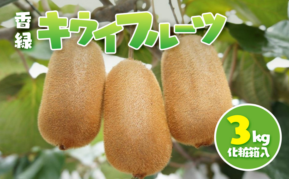香緑&nbsp;キウイフルーツ&nbsp;3kg(化粧箱)