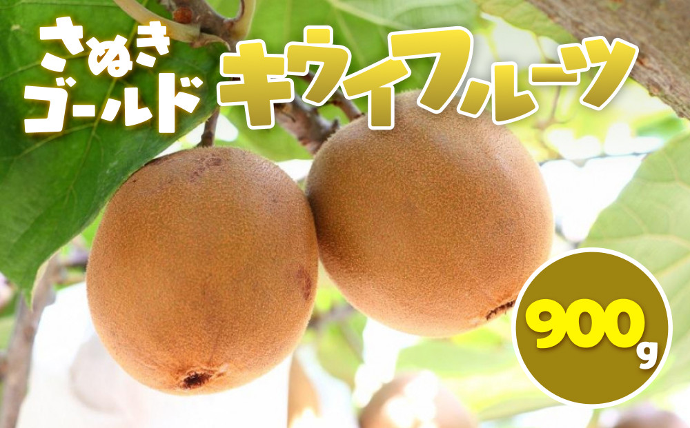 さぬきゴールド&nbsp;キウイフルーツ&nbsp;900g