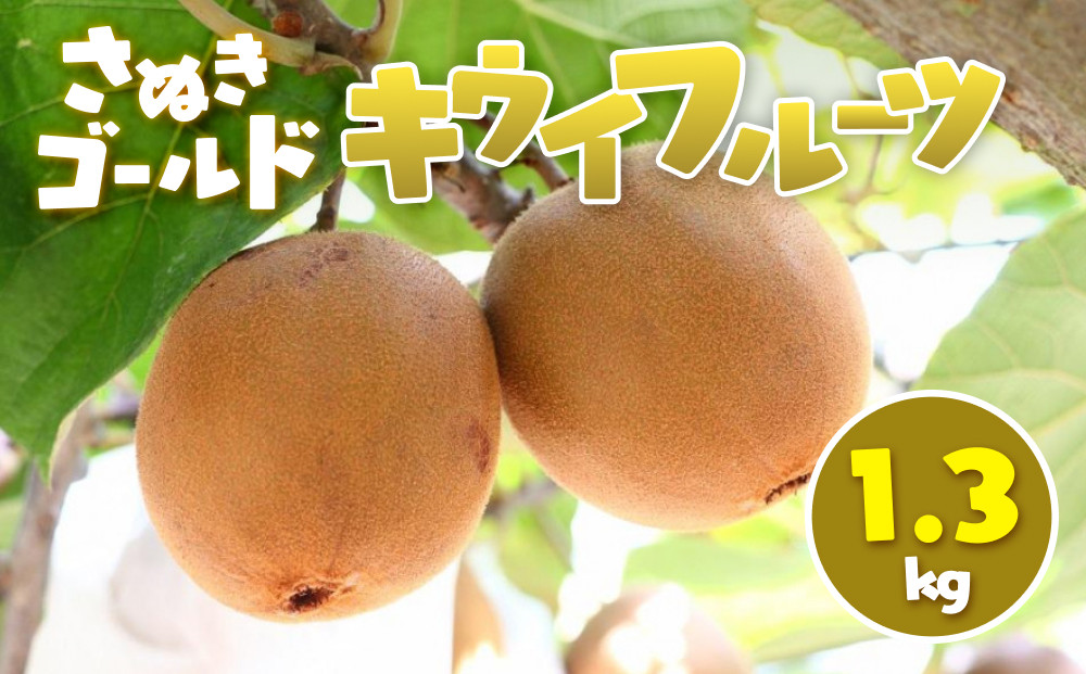 さぬきゴールド&nbsp;キウイフルーツ&nbsp;1.3kg
