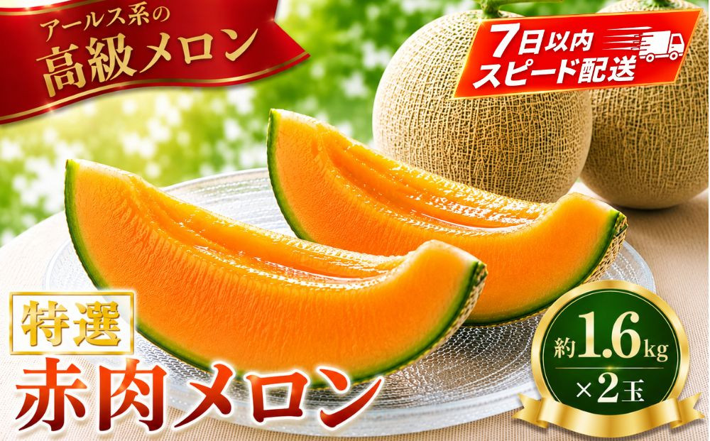 特選赤肉メロン約1.6kg×2玉【&nbsp;メロン&nbsp;果物&nbsp;くだもの&nbsp;フルーツ&nbsp;メロン&nbsp;赤肉&nbsp;赤肉メロン&nbsp;めろん&nbsp;meron&nbsp;melon&nbsp;MELON&nbsp;国産&nbsp;デザート&nbsp;産地直送&nbsp;旬&nbsp;お取り寄せ&nbsp;甘い&nbsp;】