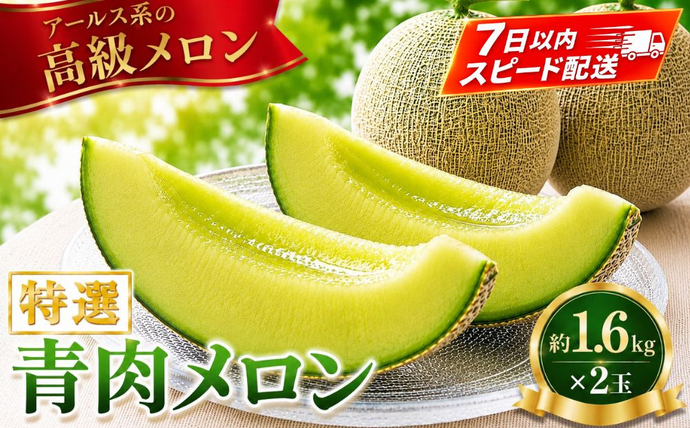 特選メロン約1.6kg×2玉【&nbsp;メロン&nbsp;果物&nbsp;くだもの&nbsp;フルーツ&nbsp;メロン&nbsp;青肉&nbsp;青肉メロン&nbsp;めろん&nbsp;meron&nbsp;melon&nbsp;MELON&nbsp;国産&nbsp;デザート&nbsp;産地直送&nbsp;旬&nbsp;お取り寄せ&nbsp;甘い&nbsp;】