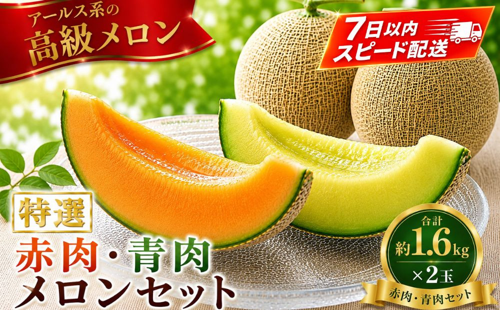 特選メロン約1.6kg×2玉（赤肉・青肉）【&nbsp;メロン&nbsp;果物&nbsp;くだもの&nbsp;フルーツ&nbsp;メロン&nbsp;青肉&nbsp;青肉メロン&nbsp;めろん&nbsp;meron&nbsp;melon&nbsp;MELON&nbsp;国産&nbsp;デザート&nbsp;産地直送&nbsp;旬&nbsp;お取り寄せ&nbsp;甘い&nbsp;】