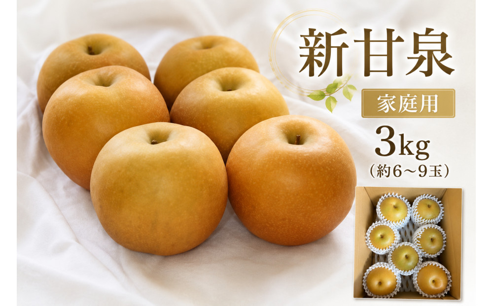 【2026年度先行予約】数量限定　鳥取県産　新甘泉&nbsp;家庭用&nbsp;3kg(約6〜9玉)【8月20日以降発送】