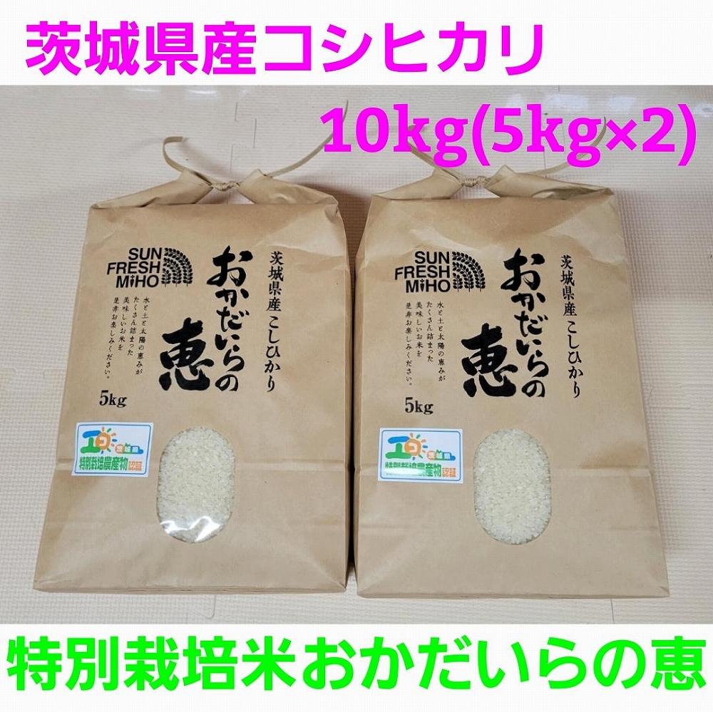 令和5年産　コシヒカリ10kg（5kg×2）特別栽培米『おかだいらの恵』　JTBのふるさと納税サイト　[ふるぽ]