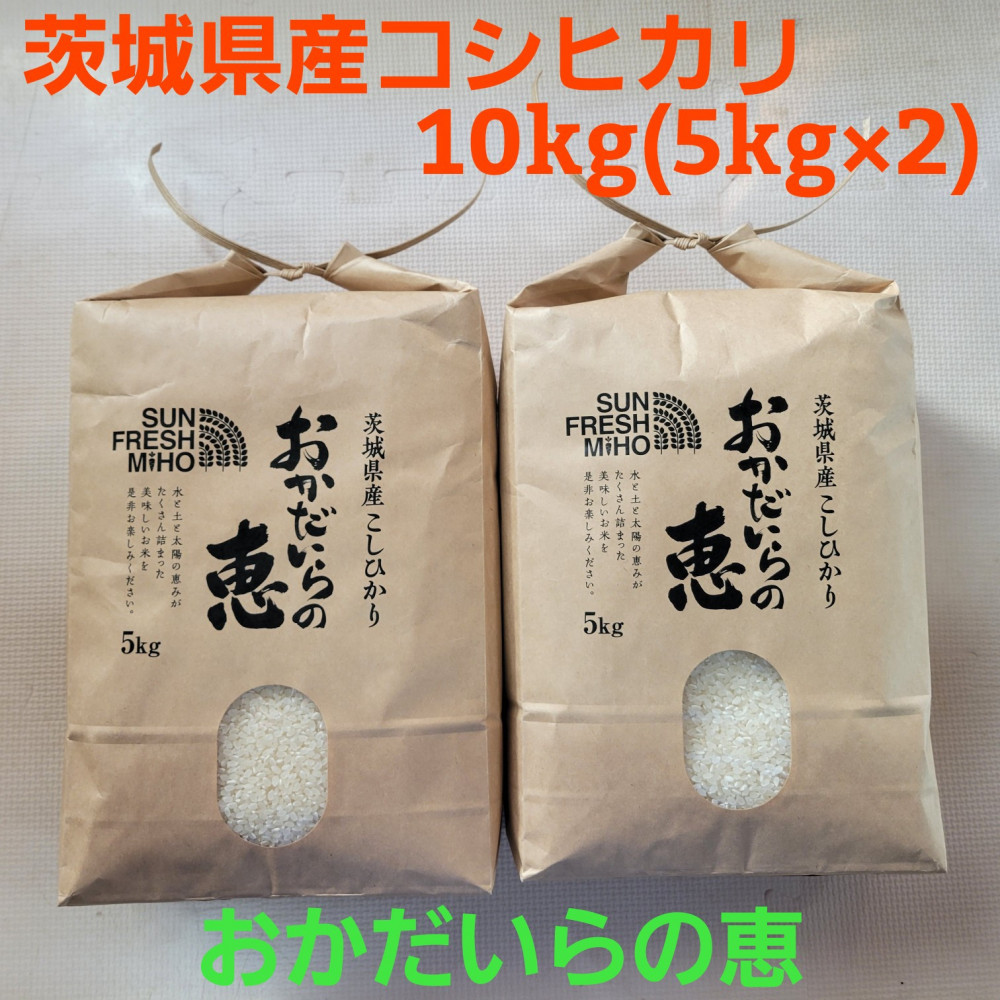 令和7年産 コシヒカリ10kg（5kg×2）『おかだいらの恵』