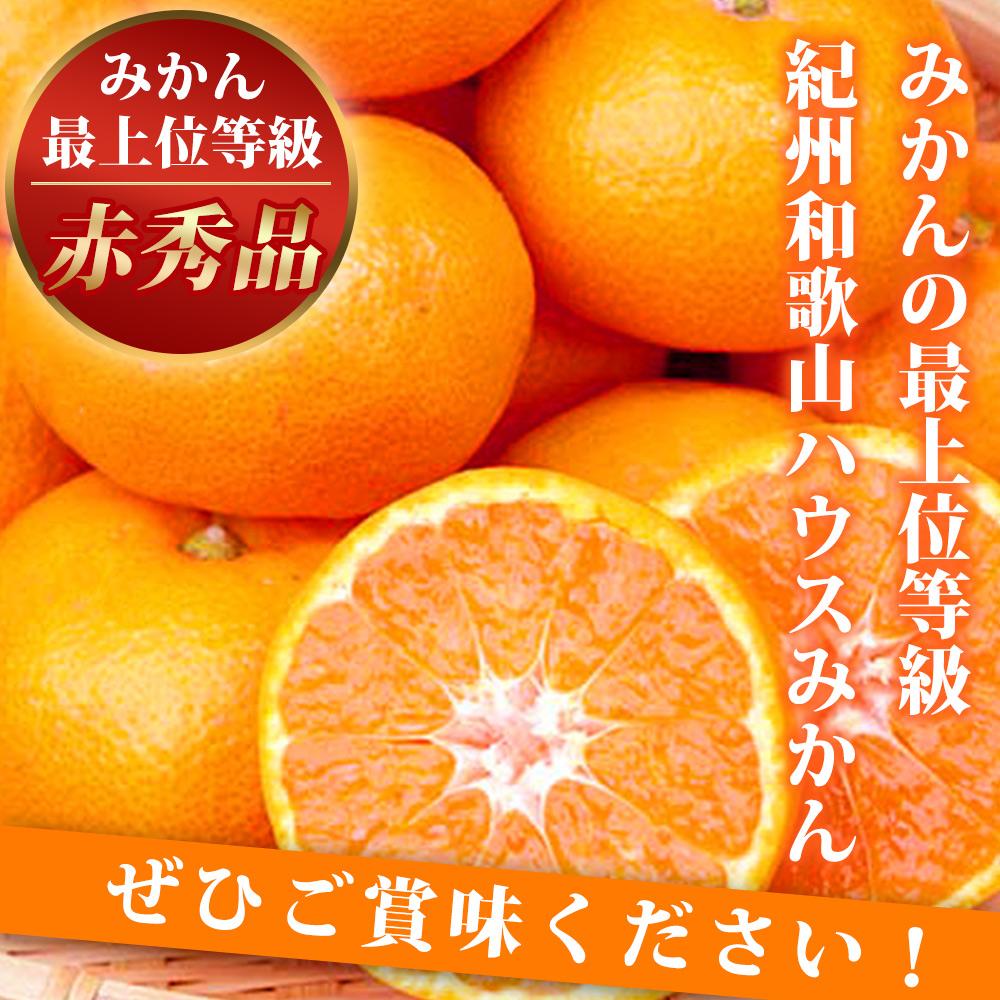 赤秀品&nbsp;紀州和歌山ハウスみかん&nbsp;2.5kg［2026年6月末頃～2026年7月中旬頃に順次発送］［UT87］