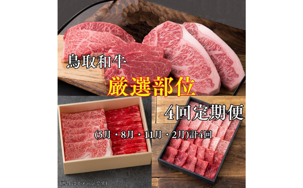 【4回定期便】鳥取和牛厳選部位　