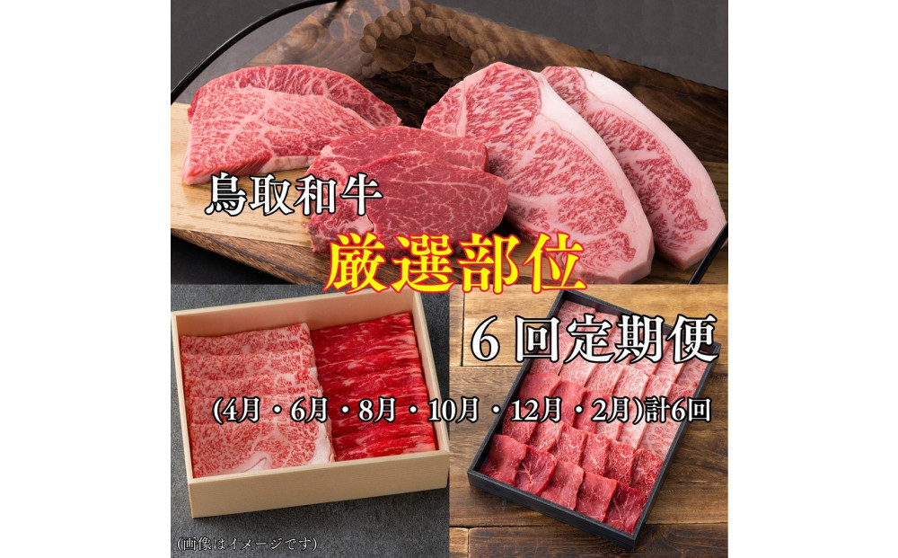 【6回定期便】鳥取和牛厳選部位　
