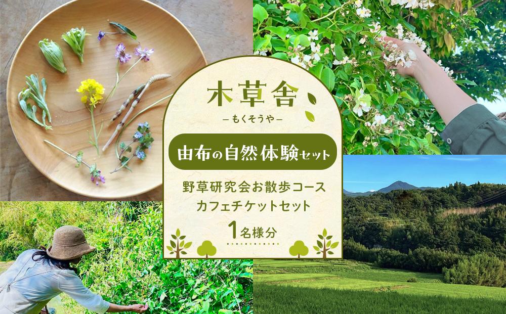 【由布の自然体験セット】野草研究会お散歩コース・カフェチケットセット&nbsp;1名様分【木草舎ーもくそうやー】【ポイント交換専用】