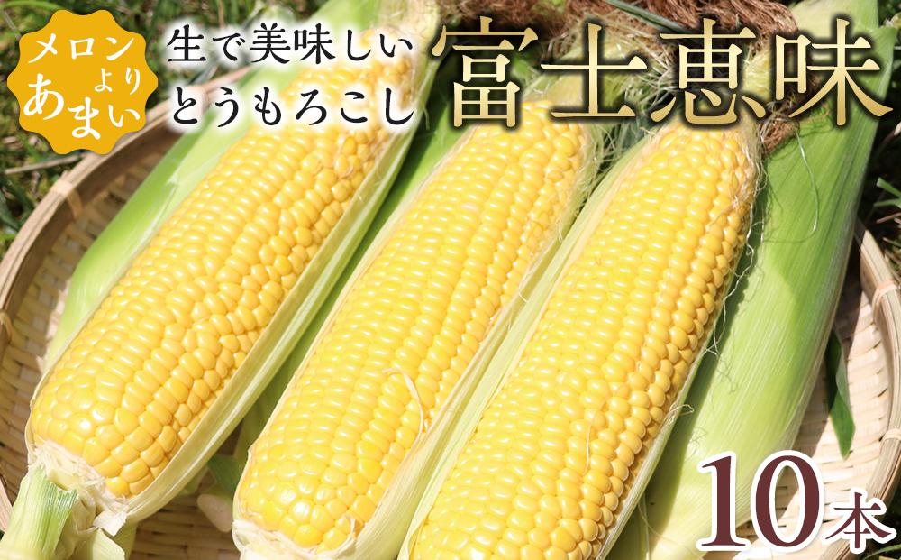 【2025年7月発送】 恵味ゴールド メロンより甘い！生で美味しいとうもろこし富士恵味１０本セット【先行予約・数量限定】 スイートコーン