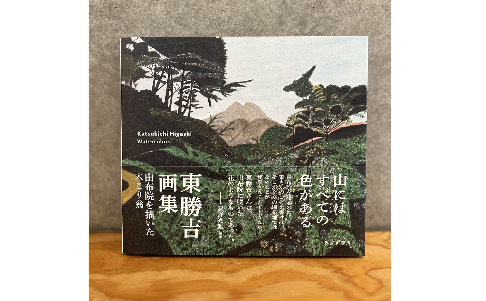 東勝吉画集【ポイント交換専用】