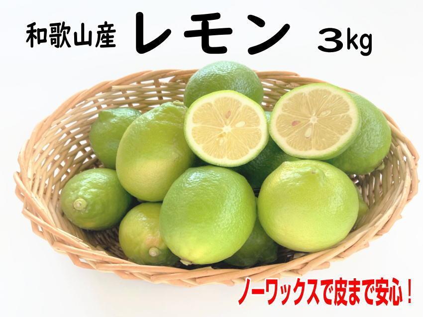 和歌山産レモン/グリーンレモン&nbsp;3kg&nbsp;【国産レモン】
