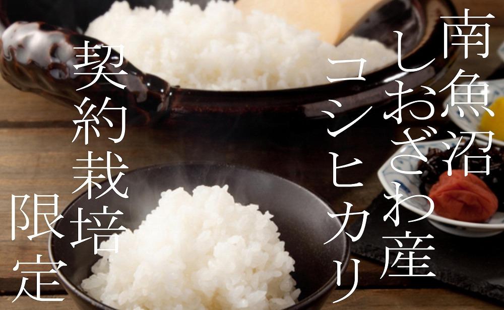 【令和7年産】【定期便15Kg×６ヶ月】契約栽培限定&nbsp;南魚沼しおざわ産コシヒカリ