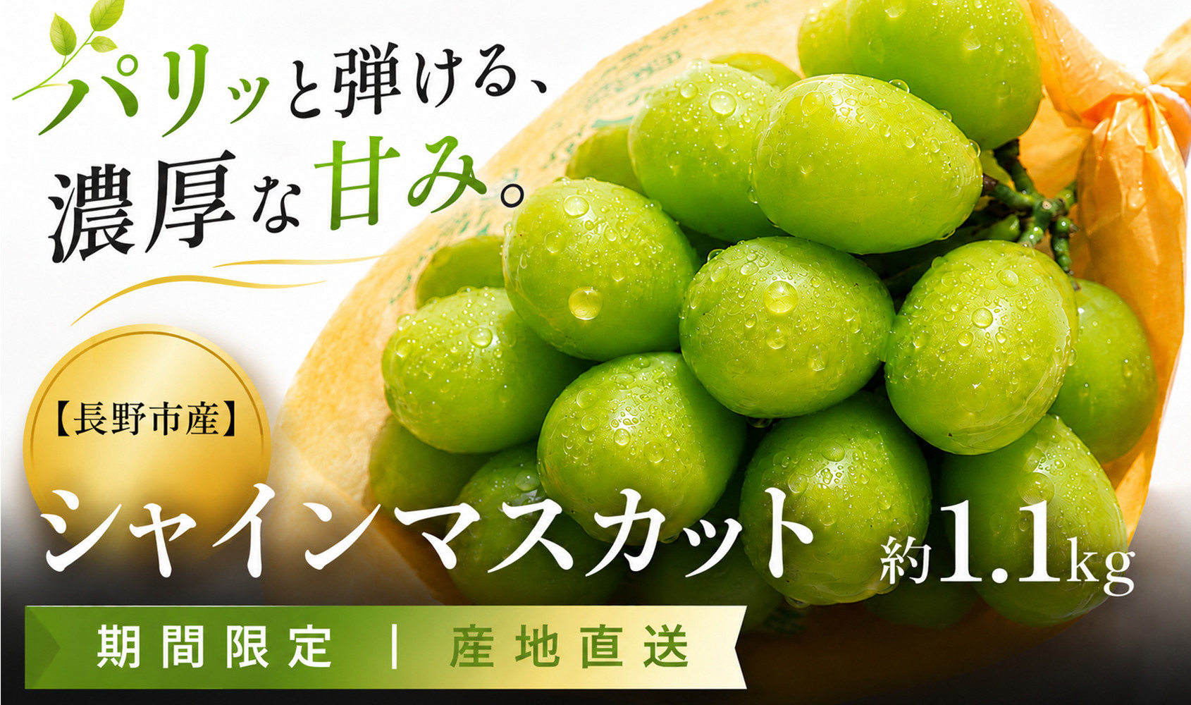 【2026年発送】&nbsp;シャインマスカット&nbsp;約1.1kg&nbsp;2～3房&nbsp;|&nbsp;シャインマスカット&nbsp;しゃいんますかっと&nbsp;シャインマスカット&nbsp;果物&nbsp;フルーツ&nbsp;マスカット&nbsp;ますかっと&nbsp;くだもの&nbsp;先行予約&nbsp;ブドウ&nbsp;葡萄&nbsp;長野ぶどう&nbsp;長野市産&nbsp;ぶどう&nbsp;シャインマスカット&nbsp;マスカット&nbsp;しゃいんますかっと&nbsp;葡萄&nbsp;果物&nbsp;くだもの&nbsp;フルーツ&nbsp;旬&nbsp;種なし&nbsp;種無し&nbsp;信州&nbsp;信濃&nbsp;ふるさと納税