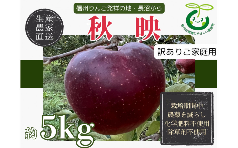 【訳あり】生産農家直送&nbsp;人にやさしい&nbsp;長沼りんご・秋映5kg（ご家庭用）&nbsp;|&nbsp;&nbsp;りんご&nbsp;林檎&nbsp;フルーツ&nbsp;果物&nbsp;秋映&nbsp;家庭用&nbsp;長沼&nbsp;農園&nbsp;おすすめ&nbsp;人気&nbsp;送料無料&nbsp;長野県&nbsp;長野市&nbsp;信州&nbsp;信濃&nbsp;ふるさと納税
