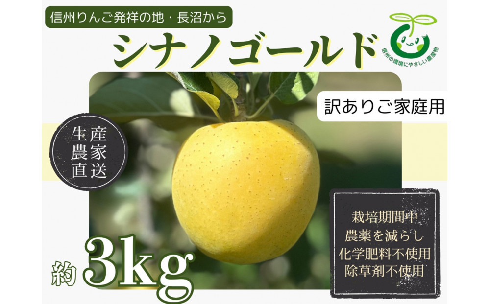【訳あり】ヤーミーズファーム　生産農家直送&nbsp;人にやさしい&nbsp;長沼りんご・シナノゴールド3kg（ご家庭用）&nbsp;|&nbsp;&nbsp;りんご&nbsp;林檎&nbsp;フルーツ&nbsp;果物&nbsp;シナノゴールド&nbsp;家庭用&nbsp;長沼&nbsp;おすすめ&nbsp;人気&nbsp;送料無料&nbsp;長野県&nbsp;長野市&nbsp;信州&nbsp;信濃&nbsp;ふるさと納税
