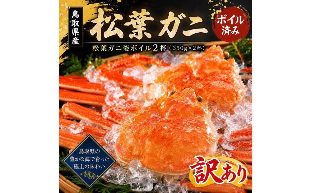 【訳あり】松葉ガニ姿ボイル2杯（350g×2杯）※11/6～発送