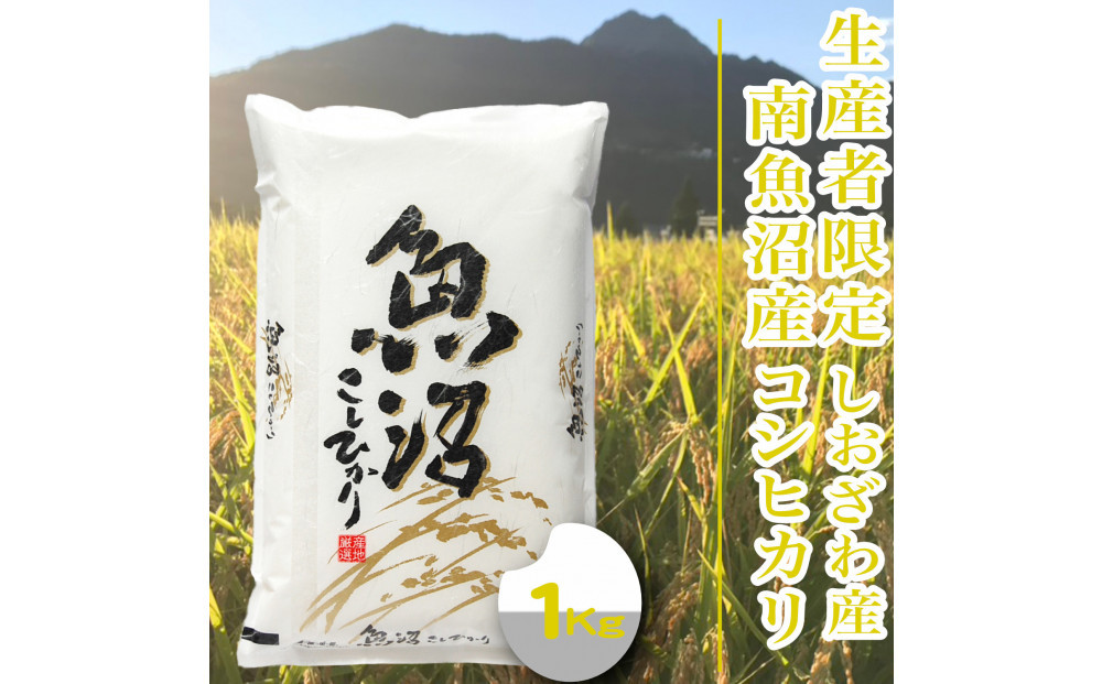 【令和8年産　新米予約】【1Kg】生産者限定／契約栽培&nbsp;南魚沼しおざわ産コシヒカリ【銘柄米&nbsp;精米&nbsp;こしひかり&nbsp;コシヒカリ&nbsp;魚沼産&nbsp;新潟米&nbsp;お米&nbsp;米&nbsp;こめ&nbsp;コメ&nbsp;ご飯&nbsp;御飯&nbsp;ごはん】【2026年10月上旬より1ヶ月以内に順次発送予定】