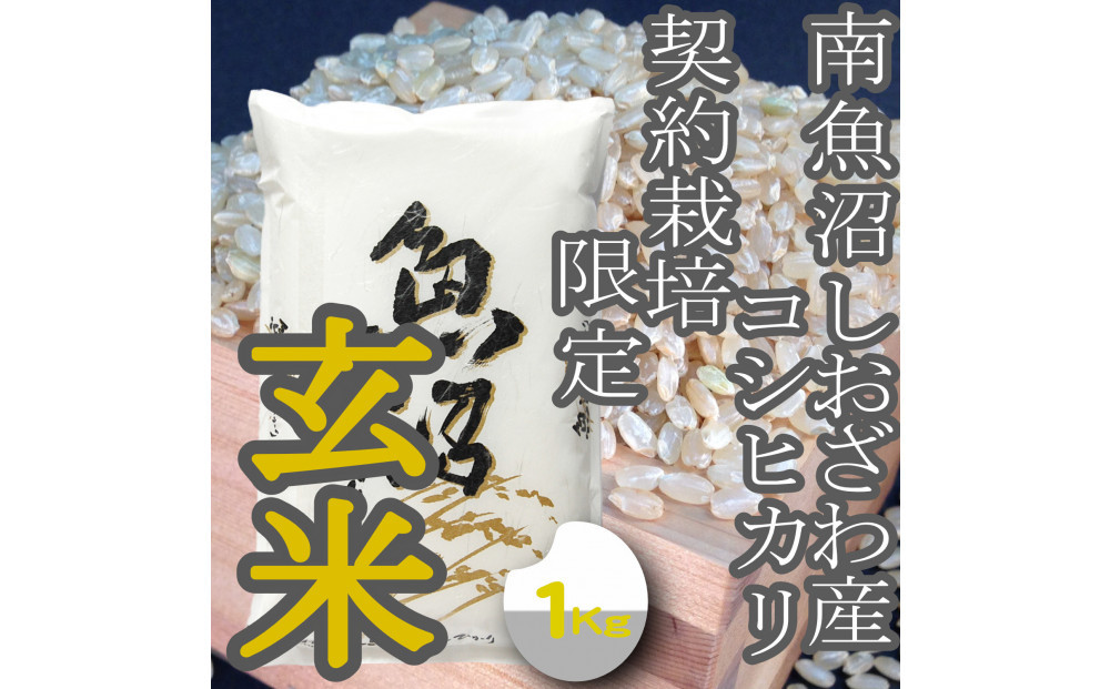 【令和8年産　新米予約】玄米【1Kg】&nbsp;生産者限定&nbsp;南魚沼しおざわ産コシヒカリ【銘柄米&nbsp;玄米&nbsp;こしひかり&nbsp;コシヒカリ&nbsp;魚沼産&nbsp;新潟米&nbsp;お米&nbsp;米&nbsp;こめ&nbsp;コメ&nbsp;ご飯&nbsp;御飯&nbsp;ごはん】【2026年10月上旬より1ヶ月以内に順次発送予定】