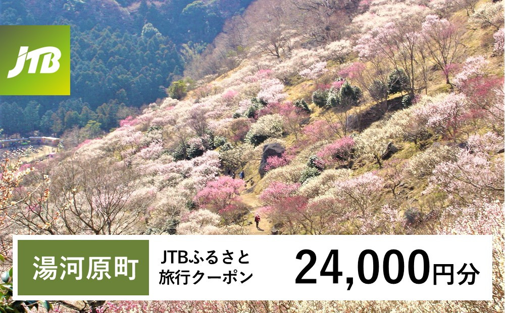 【チョイス限定】【湯河原町】JTBふるさと旅行クーポン（24,000円分）有効期間3年（Eメール発行）｜旅行&nbsp;トラベル&nbsp;予約&nbsp;国内旅行&nbsp;JTB&nbsp;宿泊&nbsp;観光&nbsp;体験&nbsp;旅行券&nbsp;宿泊券&nbsp;旅行予約&nbsp;温泉&nbsp;ホテル&nbsp;旅館&nbsp;チケット&nbsp;子供&nbsp;子連れ&nbsp;カップル&nbsp;家族&nbsp;人気&nbsp;おすすめ&nbsp;旅行クーポン&nbsp;店頭&nbsp;オンライン&nbsp;ネット予約&nbsp;電話&nbsp;有効期間3年