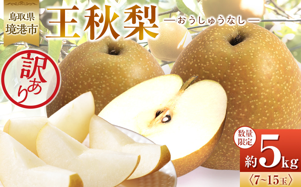 訳あり&nbsp;数量限定&nbsp;鳥取県産&nbsp;王秋梨（おうしゅうなし）&nbsp;約5kg&nbsp;（7～15玉）≪2026年11月中旬頃出荷≫&nbsp;【鳥取県&nbsp;境港市】